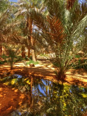 TIMIMOUN, ALGERIA - MARCH 2016: Saharan desert in sunny weather