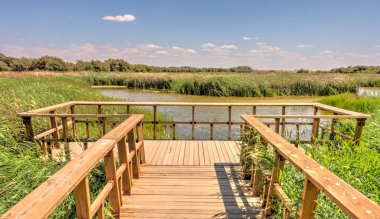 Tablas de daimiel Milli Parkı, İspanya
