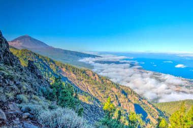 Teide Milli Parkı, tenerife, İspanya