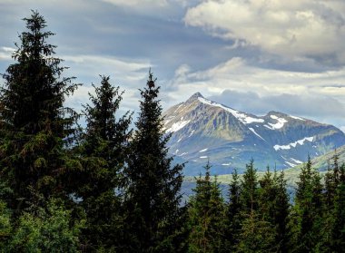 beautiful view of the landscape of Narvik, Arctic Norway