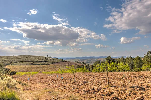 Beautiful View Nature Landscape Douro Valley —  Fotos de Stock