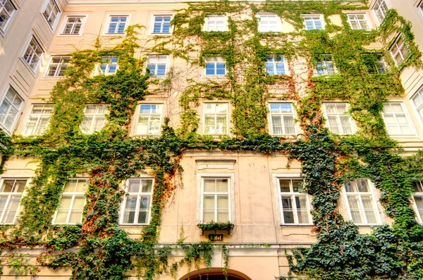 Vienna Austria July 2019 Historical Center Sunny Weather — Photo