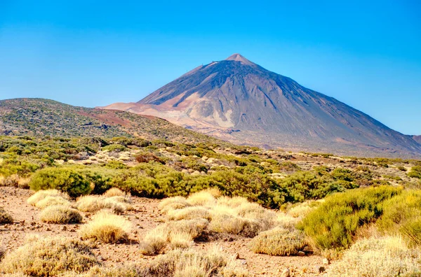 Tabonal Negro Teide National Park Tenerife Spain — Foto de Stock