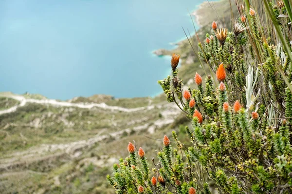 Lago Del Cráter Quilotoa Ecuador — Foto de Stock