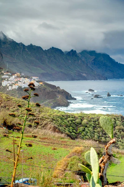 Punta Teno Tenerife Kepulauan Canary — Stok Foto