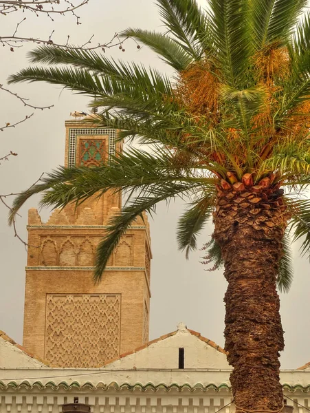 Oran Algeria March 2016 Historical Center Springtime —  Fotos de Stock