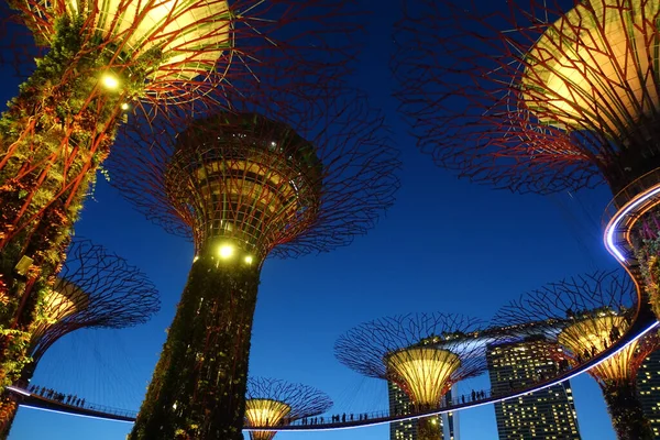 Singapore March 2019 Gardens Bay Dusk —  Fotos de Stock