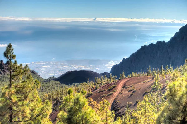Teide National Park Tenerife Espanha — Fotografia de Stock