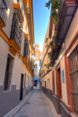 Sevilla, Spain - January 2019 : Historical center in sunny weather