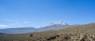 Scenic view of Altiplano Landscape, Peru