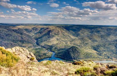 beautiful view of nature landscape. The Douro Valley 