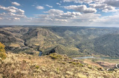 beautiful view of nature landscape. The Douro Valley 
