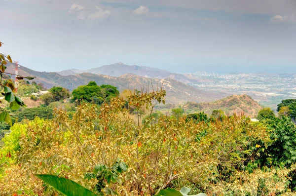 Santa Marta Colombia April 2019 Quinta San Pedro Alejandrino Bolivar — Stockfoto