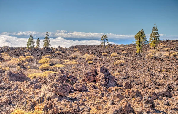 Tabonal Negro Teide National Park Tenerife Spain — Stockfoto