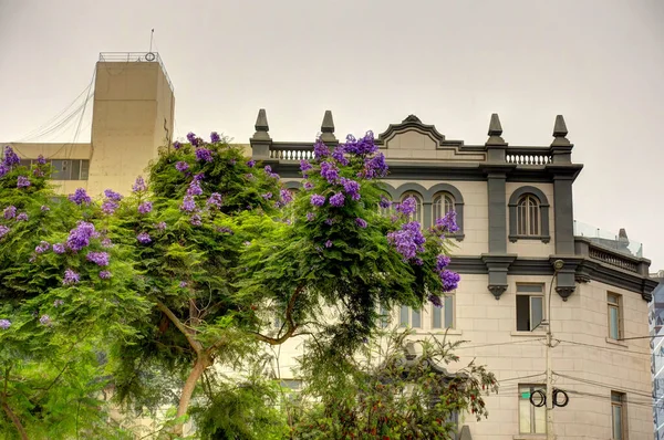 Lima Peru April 2018 Historical Center Sunny Weather —  Fotos de Stock