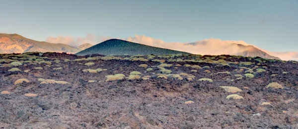 Tabonal Negro Teide National Park Tenerife Spain — Stock Fotó