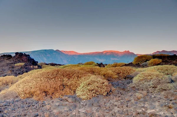 Teide Nationalpark Teneriffa Spanien — Stockfoto