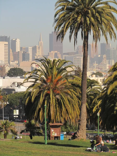 San Francisco Usa Cityscape Красивий Вид — стокове фото