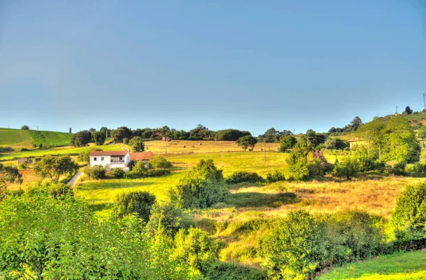 Beautiful Landscape Cantabria Northern Spain — Stockfoto