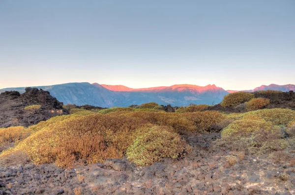 Teide Nemzeti Park Tenerife Spanyolország — Stock Fotó