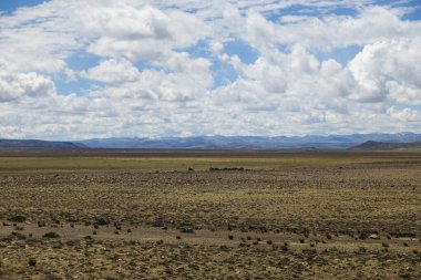 Scenic view of Altiplano Landscape, Peru