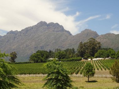 STELLENBOSCH, SOUTH AFRICA - JANUARY 2015: City center in summertime