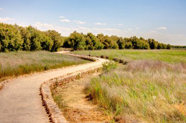 Tablas de daimiel Milli Parkı, İspanya