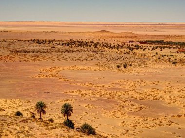 TIMIMOUN, ALGERIA - MARCH 2016: Saharan desert in sunny weather