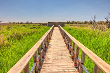 Tablas de daimiel Milli Parkı, İspanya