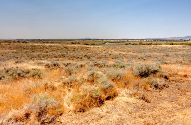Tablas de daimiel Milli Parkı, İspanya