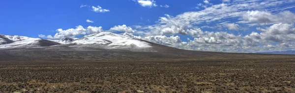 Scenic View Altiplano Landscape Peru —  Fotos de Stock