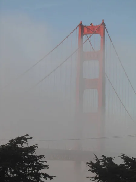 San Francisco Usa Cityscape Beautiful View — Stock fotografie