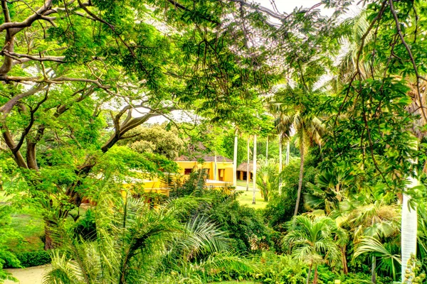 Santa Marta Colombia April 2019 Quinta San Pedro Alejandrino Bolivar — Foto de Stock