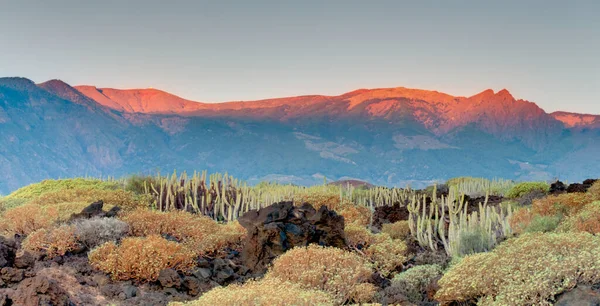 Teide Nemzeti Park Tenerife Spanyolország — Stock Fotó