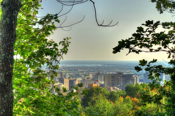 Montreal Canada September 2019 Cityscape Mont Royal Park Hdr Image — Stok fotoğraf