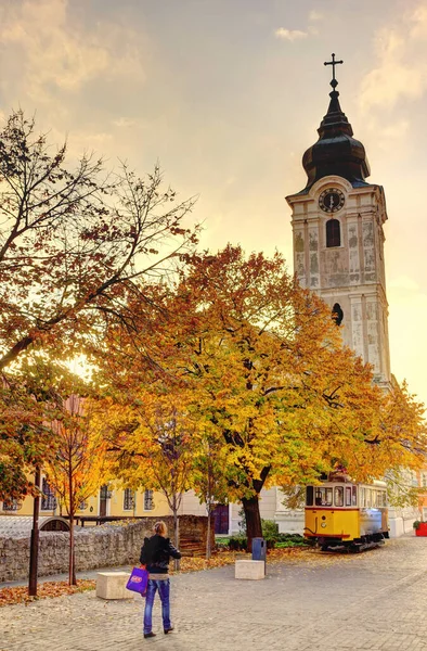 Pecs Hungary March 2017 Historical Center Cloudy Weather Hdr — 图库照片