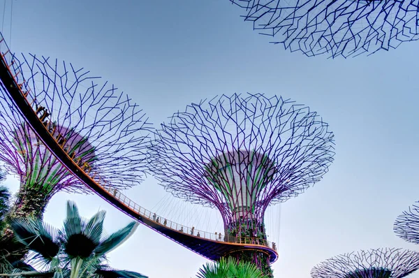 Сингапур Март 2019 Сады Залива Сумерках — стоковое фото