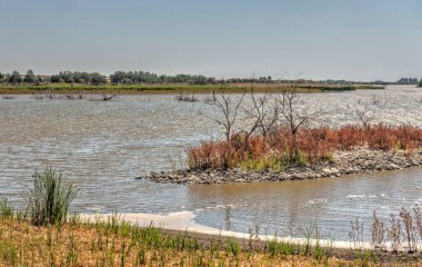 Tablas de daimiel Milli Parkı, İspanya