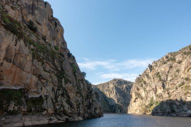 beautiful view of nature landscape. The Douro Valley 