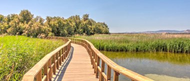 Tablas de daimiel Milli Parkı, İspanya