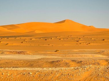 TIMIMOUN, ALGERIA - MARCH 2016: Saharan desert in sunny weather