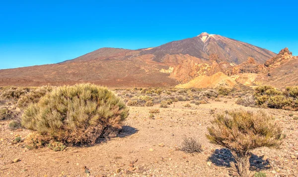 Tabonal Negro Teide National Park Tenerife Spain — Stockfoto