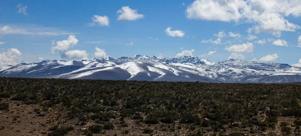 Scenic View Altiplano Landscape Peru — Stock fotografie