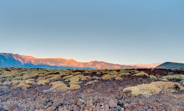 Tabonal Negro Teide National Park Tenerife Spain — Photo