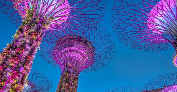 Singapore March 2019 Gardens Bay Dusk — Stock Photo, Image