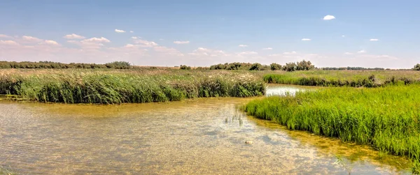 Národní Park Tabla Daimiel Španělsko — Stock fotografie