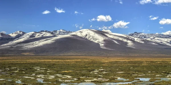 Scenic View Altiplano Landscape Peru — 스톡 사진