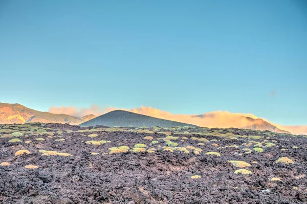 Tabonal Negro Teide National Park Tenerife Spain — Stock Fotó