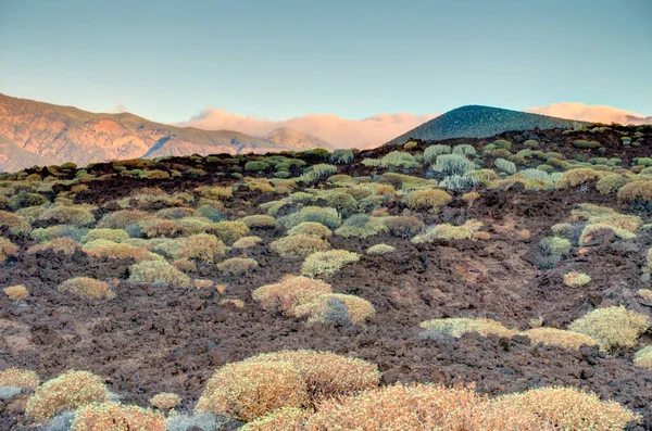 Tabonal Negro Teide National Park Tenerife Spain — Stockfoto