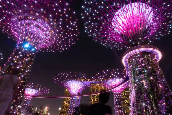Singapore March 2019 Gardens Bay Dusk — 图库照片